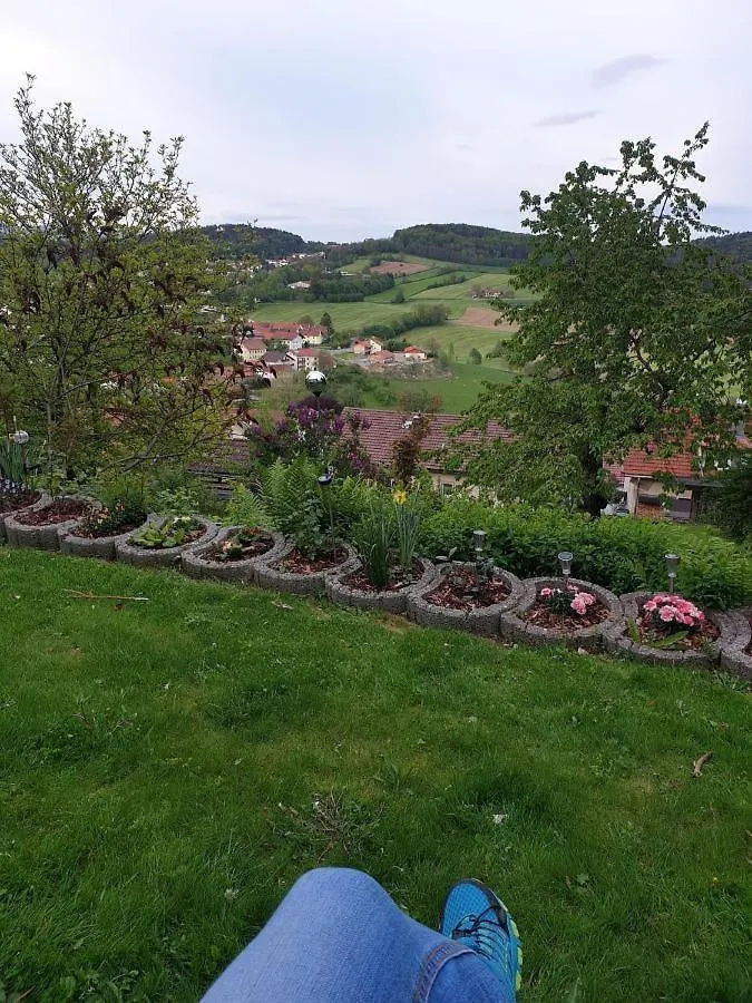 Ferienwohnung Quednau Grafenau  Apartmán Grafenau (Bavaria)